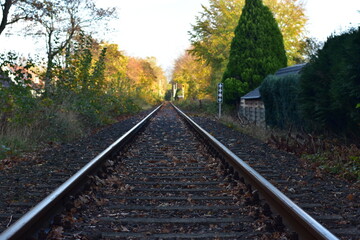 Obraz premium Autumn views