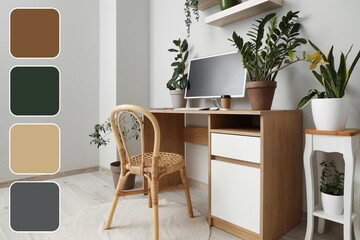 Workplace with computer monitor and green houseplants in light office. Different color patterns