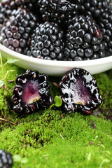 Yunnan Black Raspberries Fresh Fruit Bowl Display with Cross Section on Moss