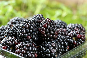 Fresh Black Yunnan Raspberries - Premium Imported Berries in Glass Container