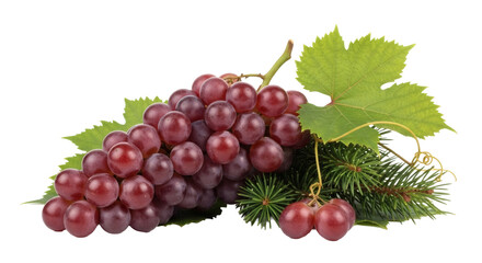 Fototapeta premium A bunch of red grapes with green leaves and pine needles isolated shot