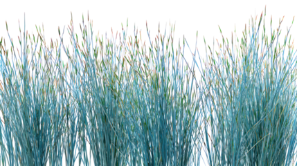 Abstract textured vertical streaks of blue and gold isolated on transparent background