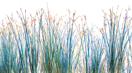 Abstract colorful vertical lines forming glass a textured pattern isolated on transparent background