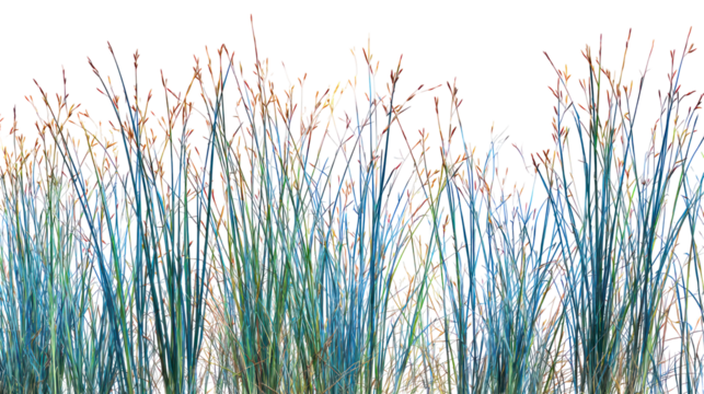 Abstract colorful vertical lines forming glass a textured pattern isolated on transparent background