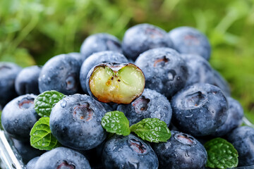 Fresh Yunnan King Blueberries with Mint Leaves and Water Droplets Display