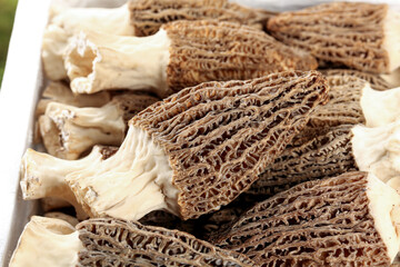 Dried Morel Mushrooms from Yunnan Mountains with Stalks - Premium Culinary Treasure Ingredient