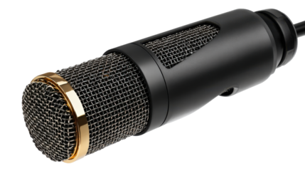 This image shows a BM800 Condenser Microphone on white background 