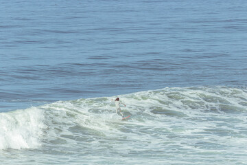 Obraz premium Surfer