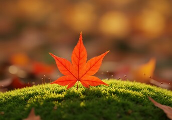Autumn maple leaf on moss