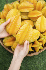 Fresh Yellow Star Fruit Carambola in Hands Over Wicker Basket - Sweet Tropical Fruit Harvest