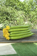Fresh Shouguang Cucumbers with Flowers from Shandong China on Wooden Table