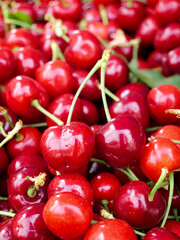 Fresh Red Cherries with Green Stems - Healthy Summer Fruit Background