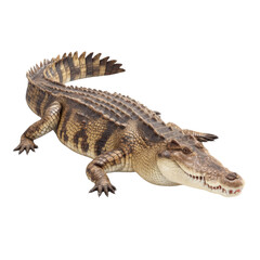 Fototapeta premium Realistic and Detailed Model of a Crocodile on a White Background for Educational and Creative Use