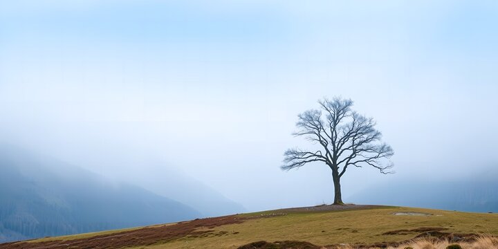 A solitary bare tree stands on a grassy hilltop against a hazy blue sky and distant misty mountains