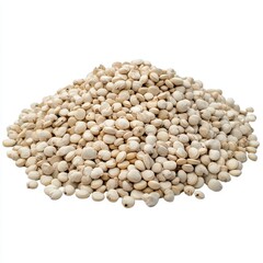 White Barley Grains Pile on White Background for Culinary Use