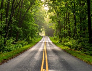 Fototapeta premium Country Road Through Lush Green Forest.
