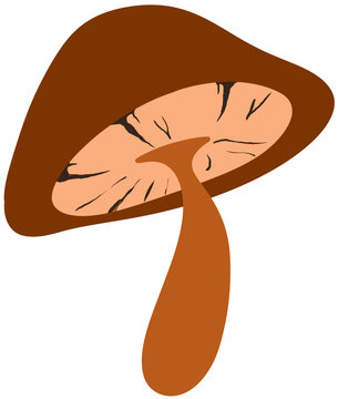 Mushroom 