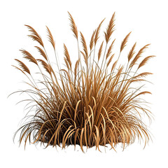 Obraz premium Natural Dried Pampas Grass Bush, Generative AI