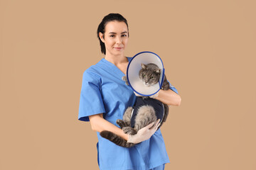 Female veterinarian holding cat in recovery suit with Elizabethan collar after sterilization on beige background