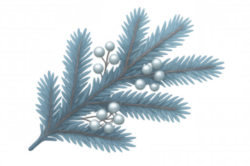 Winter spruce branch with white christmas berries. Decorating for holidays, new year, festive season, and celebration