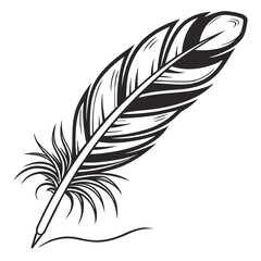 Obraz premium set of feathers