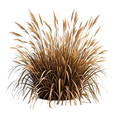 Natural Dried Pampas Grass Bush, Generative AI