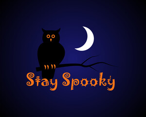 stay spooky halloween cat night