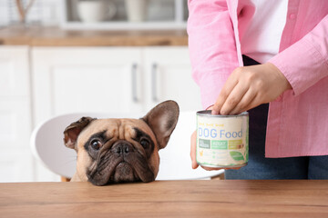 French bulldog and woman opening can with pet food at table in kitchen, closeup