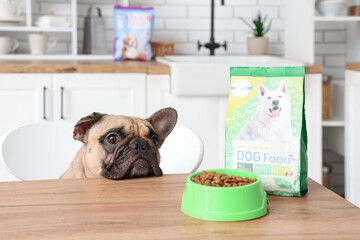 French bulldog and feeding bowl with pet food on table in kitchen