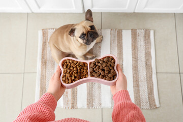 Woman holding feeding bowl with dry pet food and French bulldog in kitchen, closeup