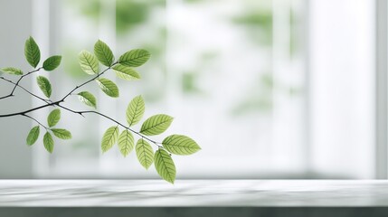 Fresh Green Leaves on Branch with Natural Light in Modern Minimalist Interior Space