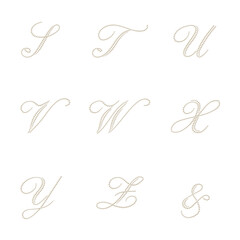 calligraphic design letters S to Z no shadow
