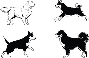 Dog illustration set, retriever and husky vector, pet animal artwork, black outline design, canine drawing collection, domestic dog graphic packDog illustration set, retriever and husky vector, pet 