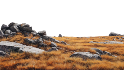 Rocky outcrop in a field of dry grass