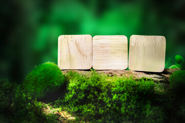 Wooden blank square blocks on green moss nature background for eco design template sustainability concept