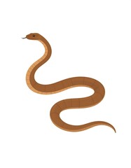 Fototapeta premium Brown snake illustration, stylized, simple design, isolated on white