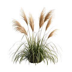 Elegant Dried Pampas Grass Bush, Generative AI
