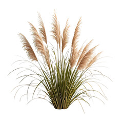 Elegant Dried Pampas Grass Bush, Generative AI