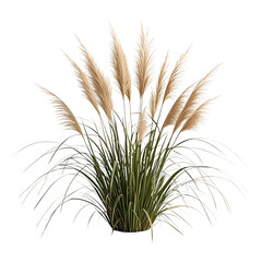 Elegant Dried Pampas Grass Bush, Generative AI