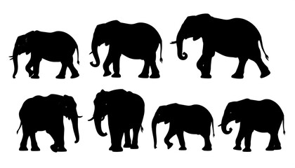 Obraz premium Eight elephant silhouettes in various poses against a white background
