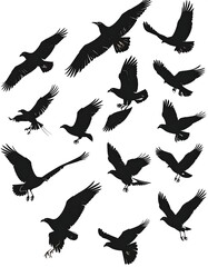 Obraz premium Collection of black bird silhouettes in various flight poses against a white background
