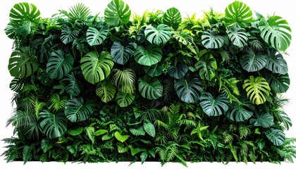 Lush green vertical garden, various tropical leaves on a white background