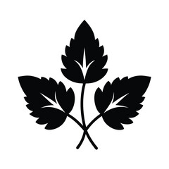 Ground Marjoram Leaves Icon Vector Illustration