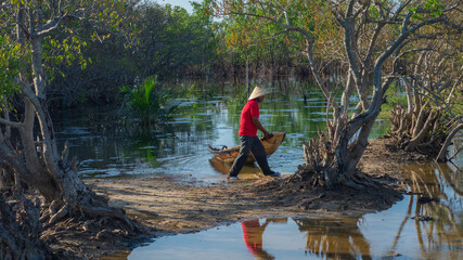 The flooded forest in the lagoon system in Hue is where many fishermen make a living, and is also...