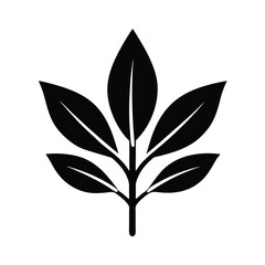 Sage Herb Design Icon Vector Illustration