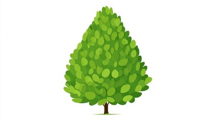 A simple cartoon illustration of a lush green conical tree with a small brown trunk, isolated on a white background.