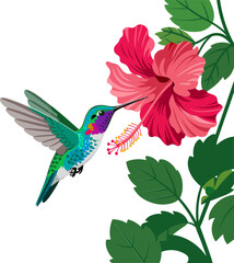 Hummingbird sipping nectar from hibiscus flower, tropical foliage background, vivid colors, detailed nature artwork, vibrant exotic illustration © kdpprosolutions2015