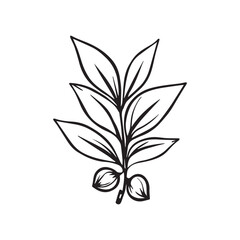 Coffee Plant Logo with Decorative Frame and Minimal Layout