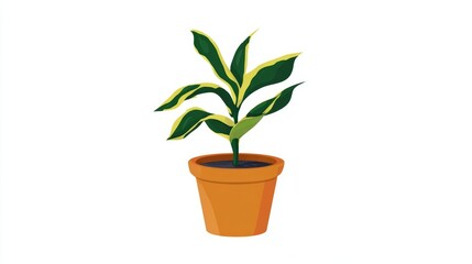 A vibrant illustration of a potted snake plant, showcasing its green and yellow leaves.