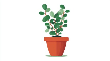 Potted green houseplant with lush leaves symbolizes nature, life, and growth